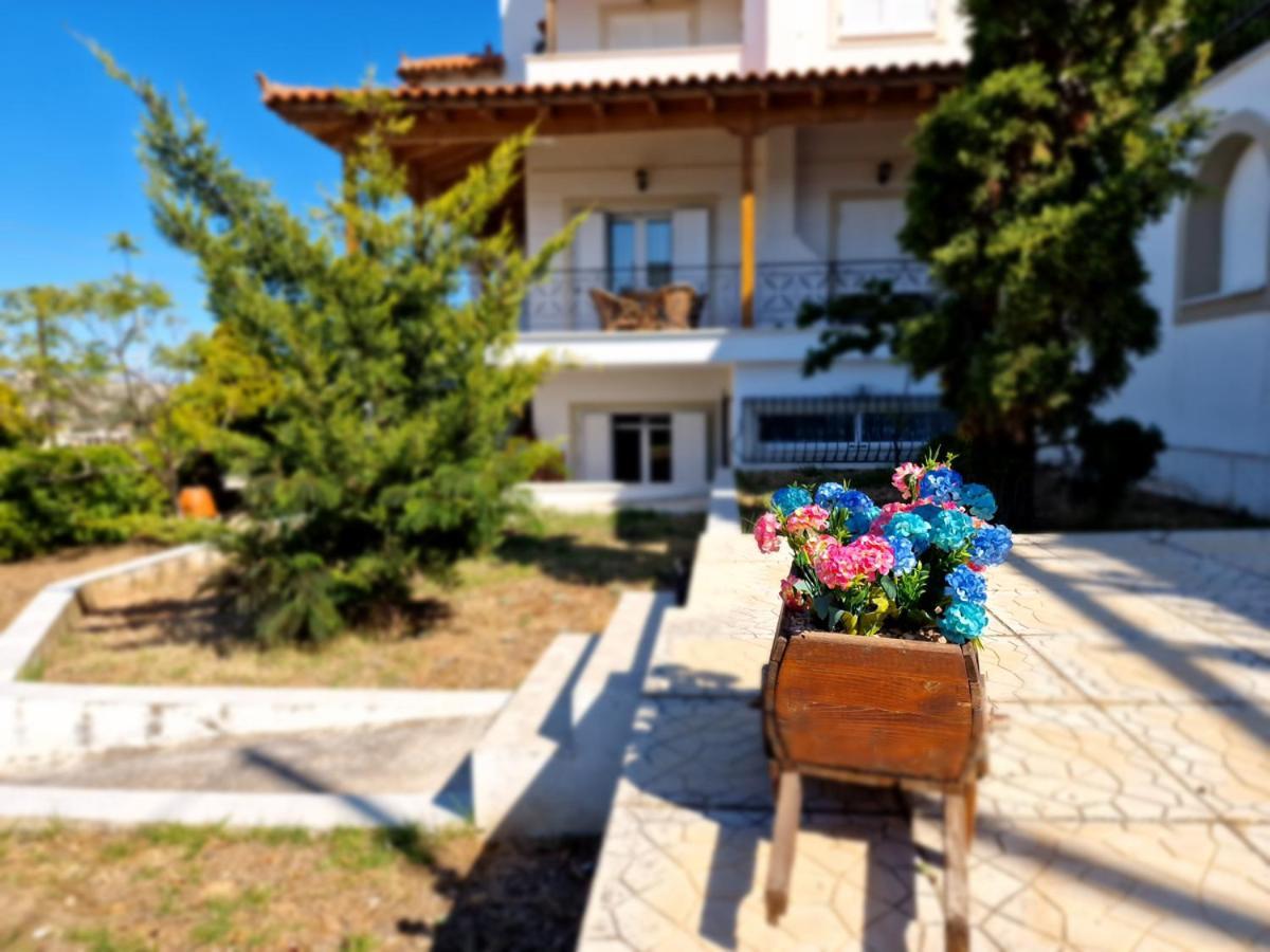 Villa Liana : Luxury Villa With Fantastic Sea View, Near Airport Pórto Ráfti Exterior foto